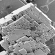 Cristales de magnesita vistos al microscopio electrónico